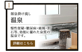 源泉掛け流し　飲める温泉　慢性便秘・糖尿病・痛風・胆石等、飲用効果に優れた泉質の温泉です。　詳細はこちら